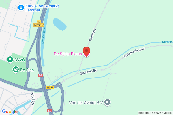 De Eysvogel