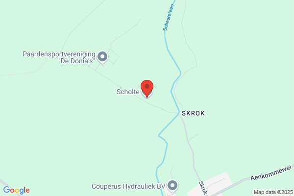 Scholte