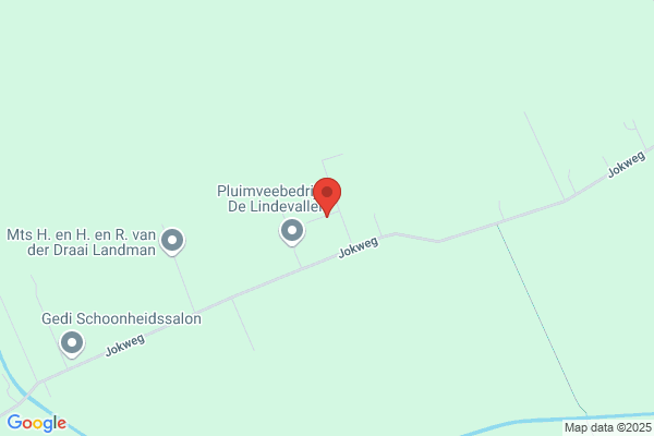 Speelman-Mulder, H M