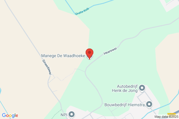 Manege De Welle