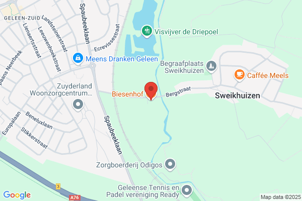 Buijzen
