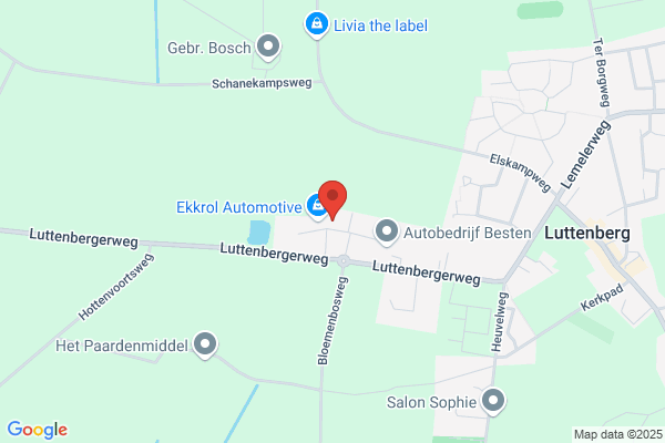 Rietdekkersbedrijf Gorkink