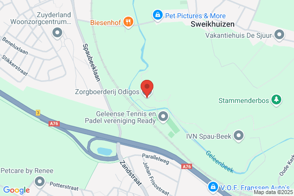 Logeerhuis Verstandelijk Gehandicapten