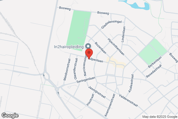 Willems, F F R