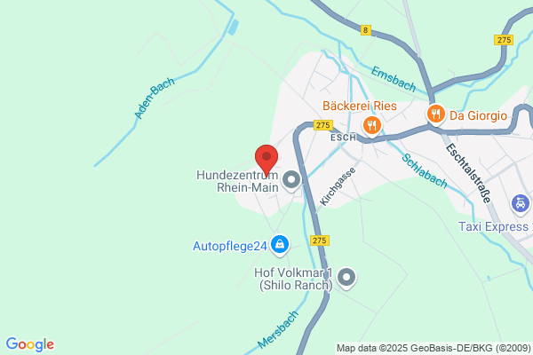 Sal Service Aandacht En Lage Kosten