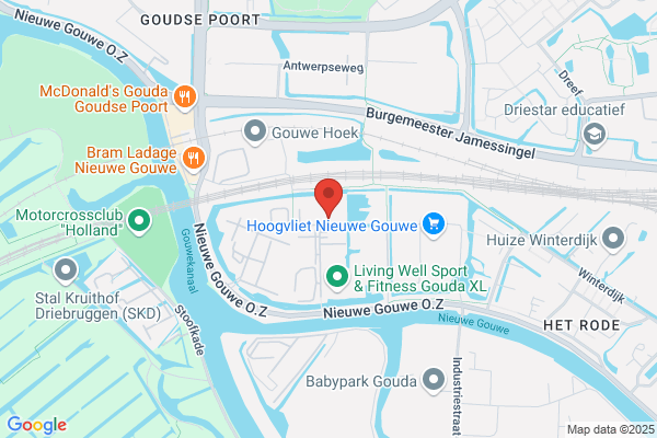 Gouda