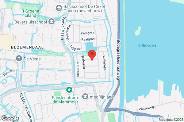 Bouman, Lisette