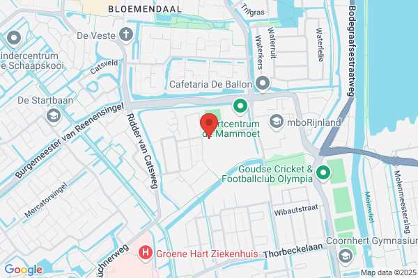 De Goudse Waarden
