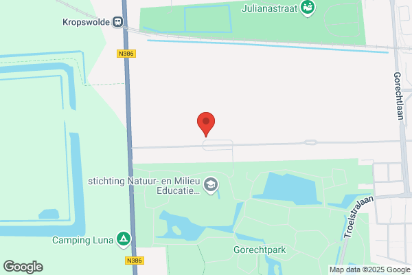 Meijering, Willemien