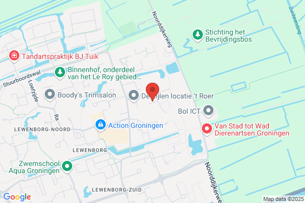 Dijk, Trieneke Van