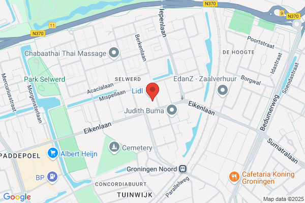 Blauwe Tulp, De