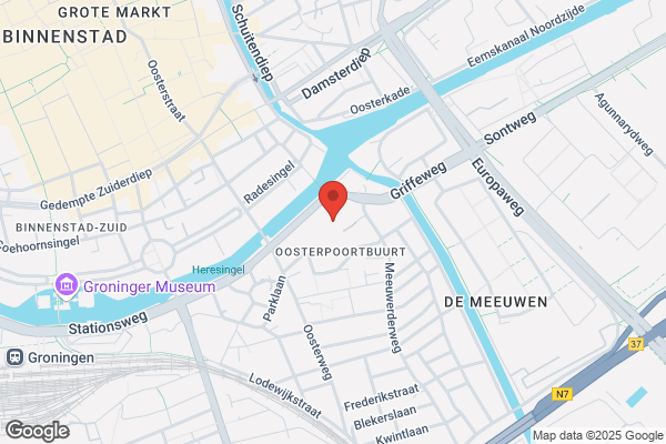 Gronings Salonorkest, Het