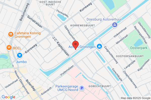 Virtuele Bos, Het