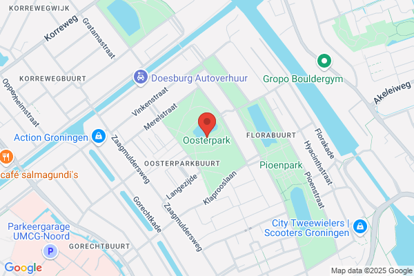 Oosterpark, Het