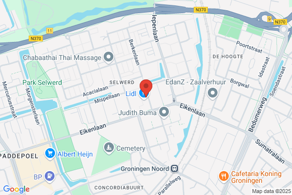 Meindertsma, T