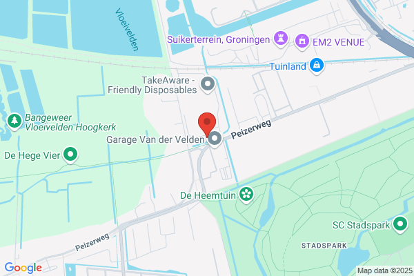 Jong, De