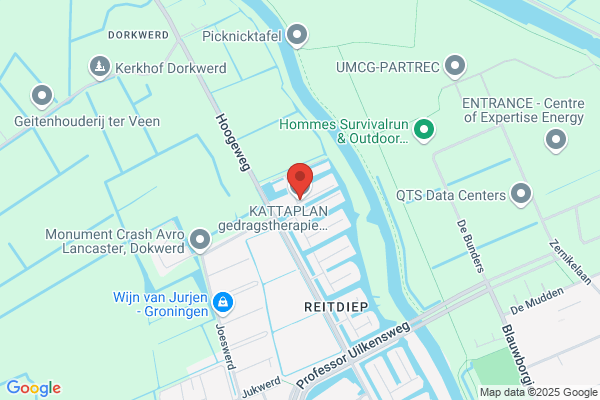 Kwispelaar, De