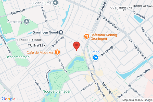 Noorderzon