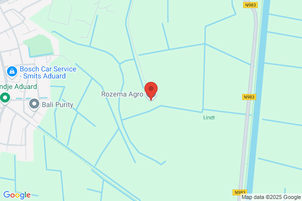 Rozema