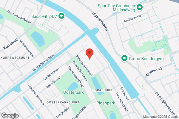 Super De Boer