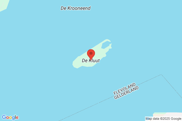 De Kluut