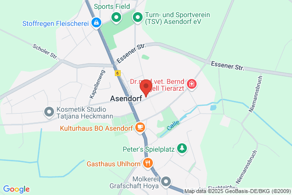 Brugmans Assurantien