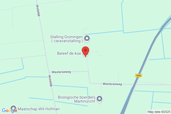 Bonte Koe, De