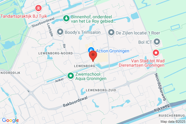 Dok Lewenborg, Het