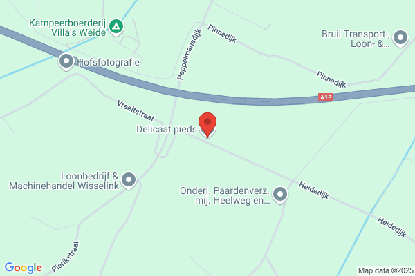 Delicaat Pieds Irmgard Schinkel