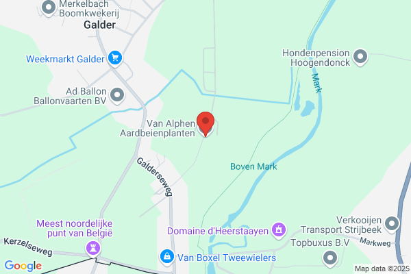 Alphen Aardbeienplanten BV van