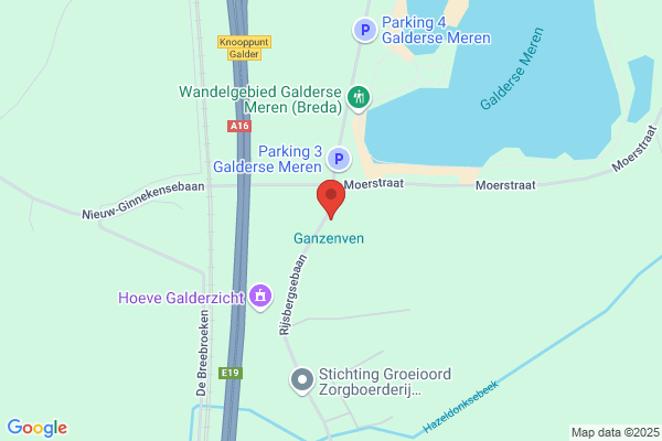 Vermeeren, Anita
