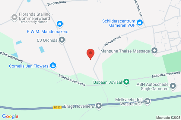 Gevleugeld Paard, Het
