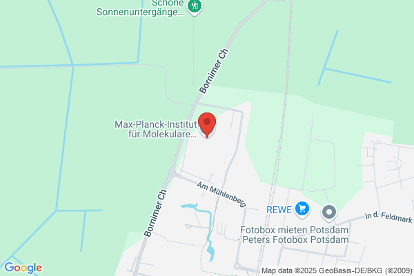 4m Instituut