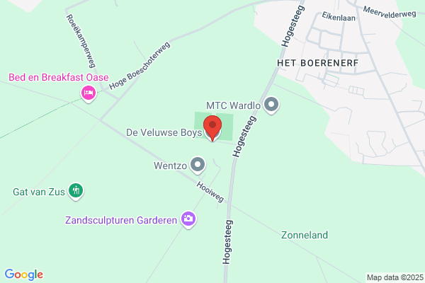 De Veluwse Boys