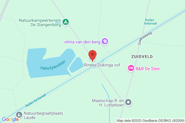 Dijkema Nellian