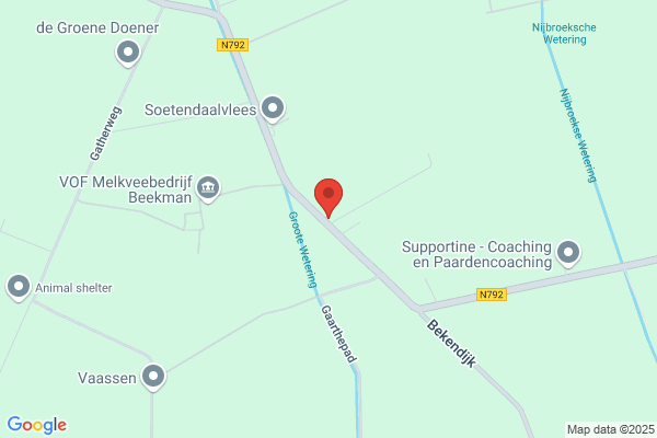 Molenkamp, Ineke