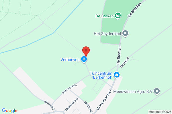 Damen, Wim