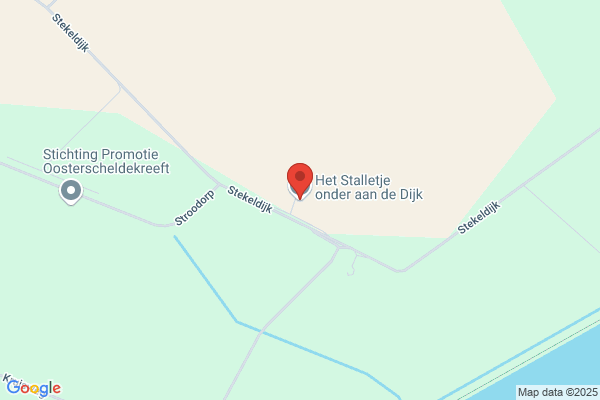 Landbouwbedrijf C J Steendijk