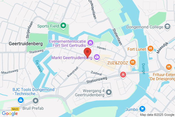 Oude Nest, 't