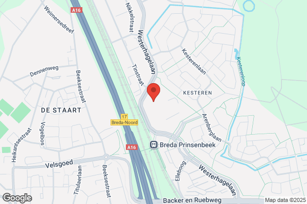 Bamberger Polymers Europe Bv