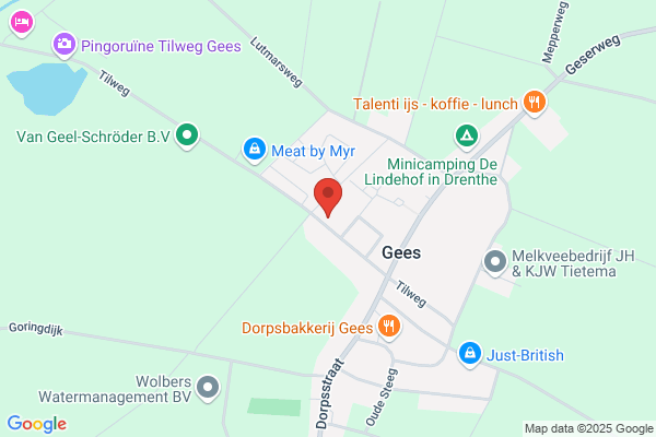 Woltinge