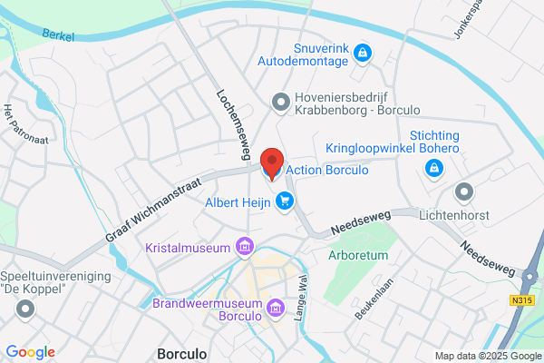 Action Borculo