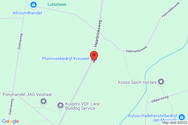 Kruit, Marcel
