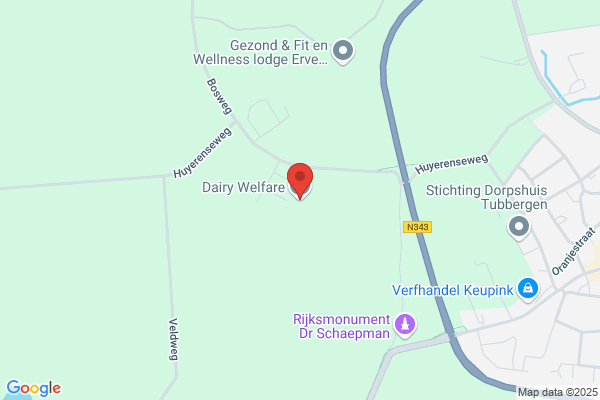 Elfering