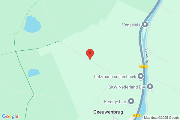 Trekpeerd, Het