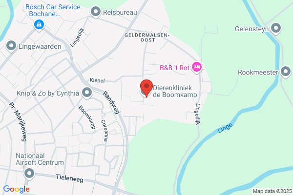 Koedam