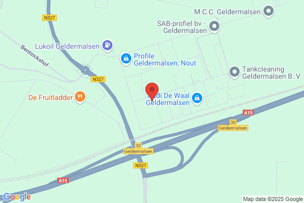 Pellegrom, Koos