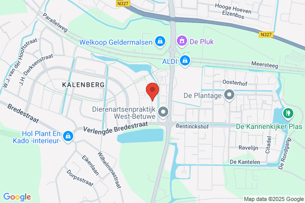 Lingebloei Interieurbeplanting
