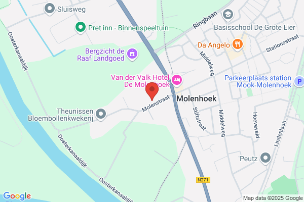 A E Dujardin Van Der Lubbe