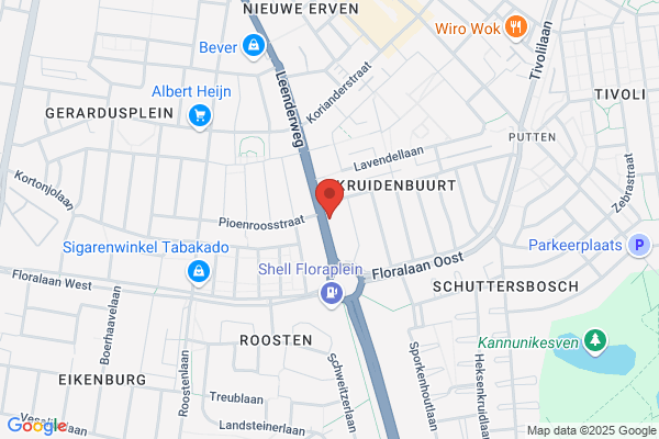 Gestel Logopediepraktijk L H D van
